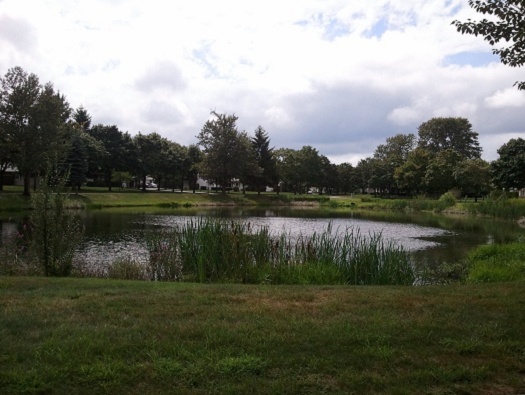 POND POND