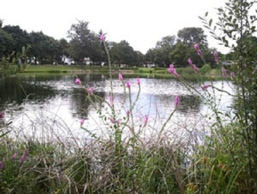 POND