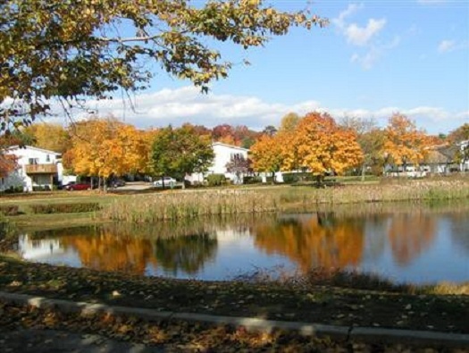POND POND